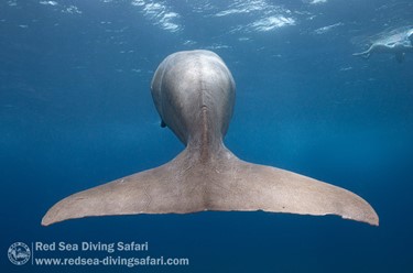 March Photo Competition 2025 - Winner Announced!